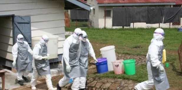 Shamonda Virus: First Human Death Reported as Kenyans Seek Clarity on Infection Risks