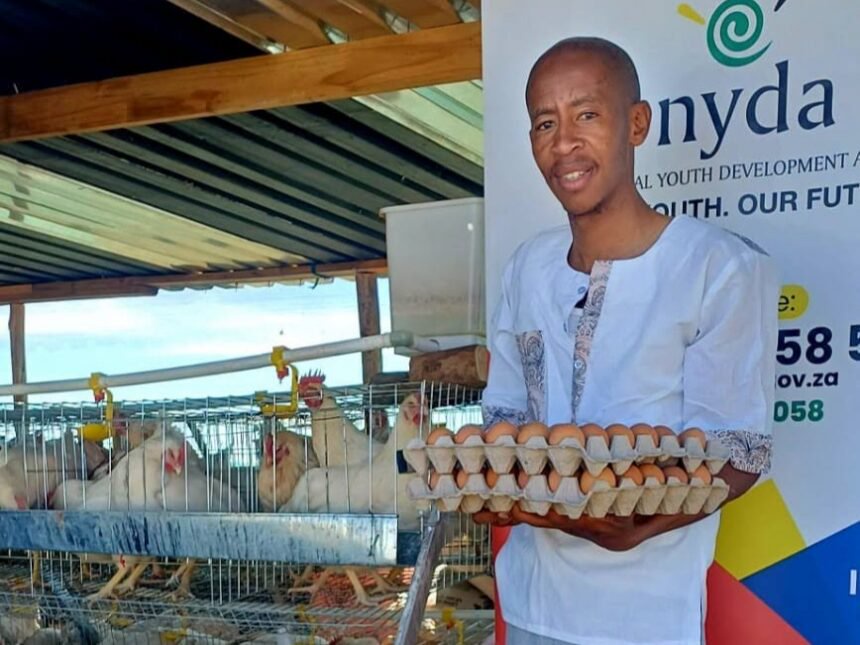 Pule Monare Expands Poultry Farming Business Through NYDA Funding in the Free State