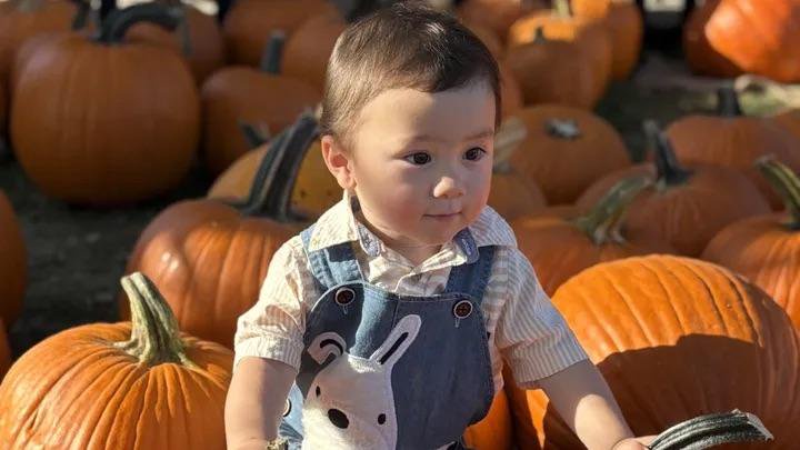 Boy, 2, struck and killed by reversing SUV while pumpkin picking in NJ: ‘Absolute devastation’