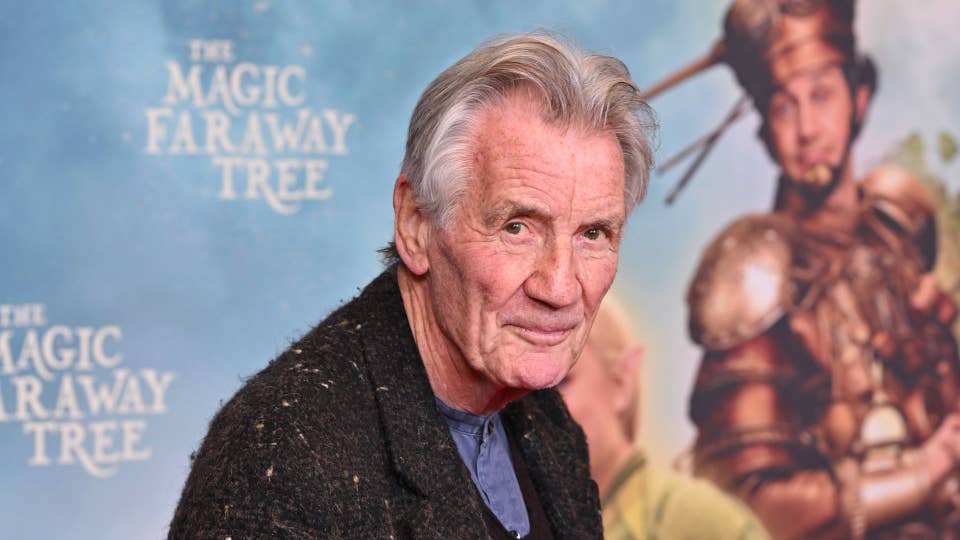 Michael Palin, 83, cancels book tour after fracturing ribs in ‘comedy fall’