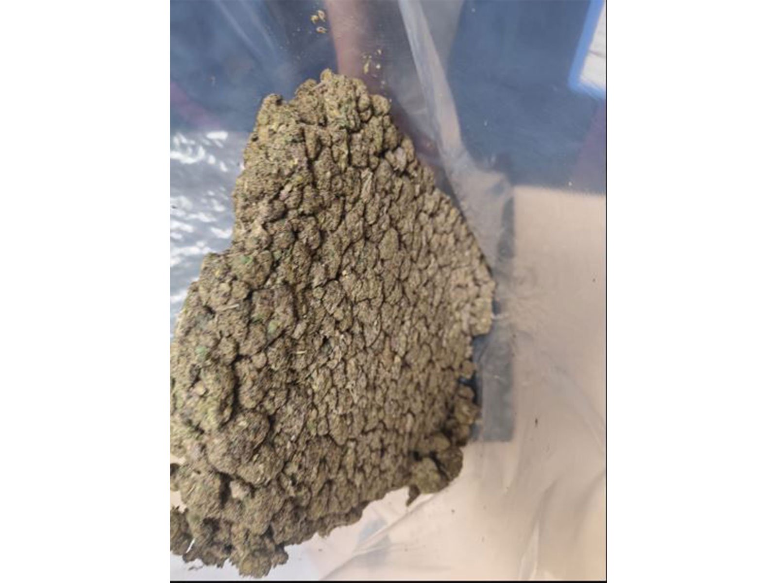 Delhi: Customs at IGI Airport seize marijuana worth Rs 4.5 crore; passenger arrested
