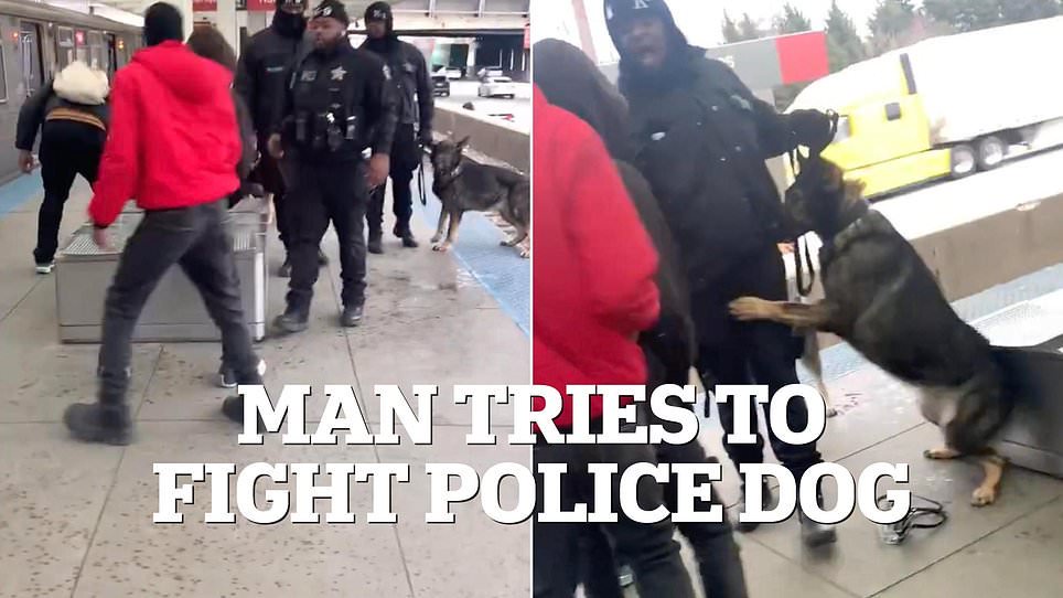 Dystopian video shows goons attacking police dog on Chicago subway