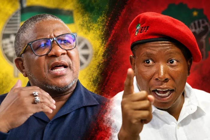 Mbalula vows to intervene in Malema’s war of words with MySol
