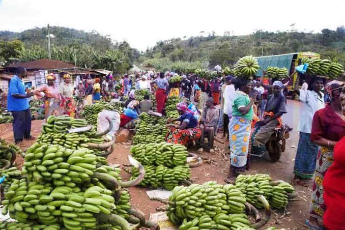 Mabibo market clears drain ahead of rains