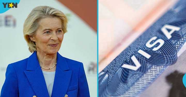 EU Sets Official Rules for Schengen Visa Applications: Timelines, Fees and Documents