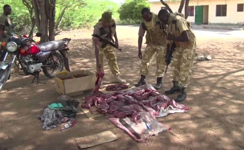 KWS warns poachers as 16 more carcasses seized in Tana River