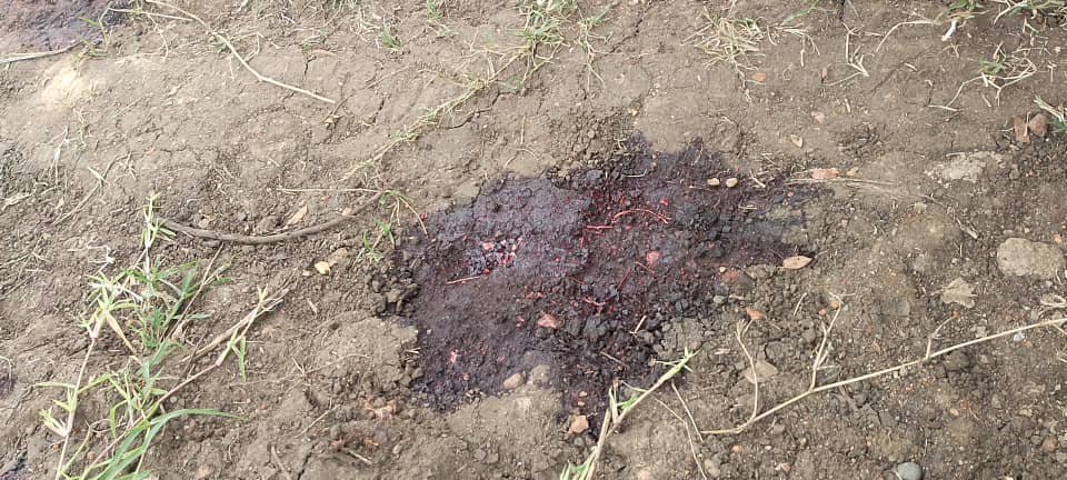 One shot dead by security operatives in Kasese