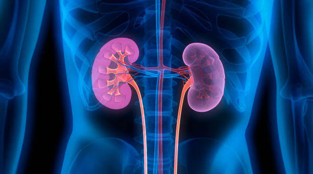 If Your Kidneys Are In Danger, Your Body Will Give You These 8 Signs