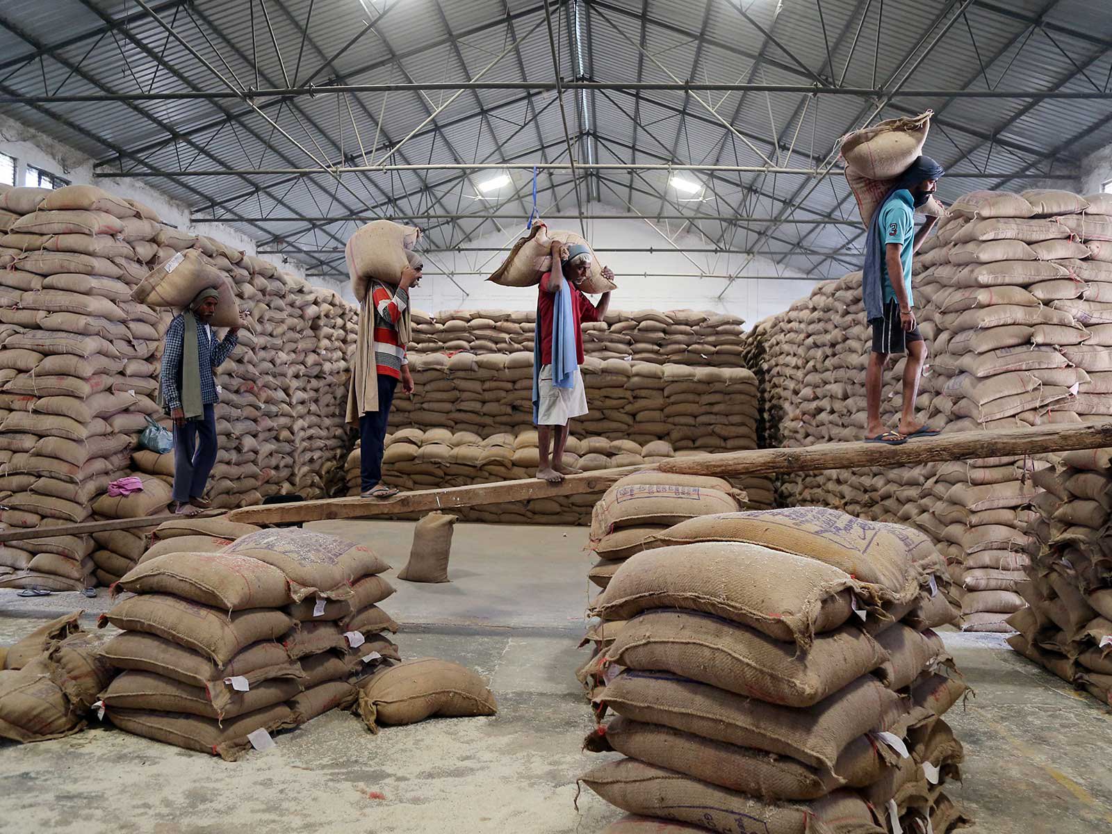 India’s rice export earnings rise 12.9% in April-August; BIRC to focus on policy, incentives