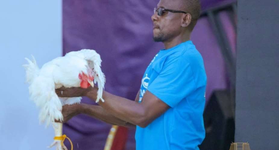 Bechem to become chicken capital of Ghana – Mahama