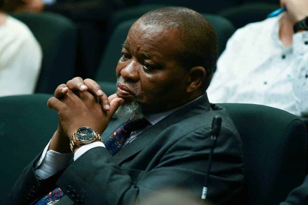 Mantashe irks Cosatu congress as delegates decry ANC’s ‘Big Brother’ attitude