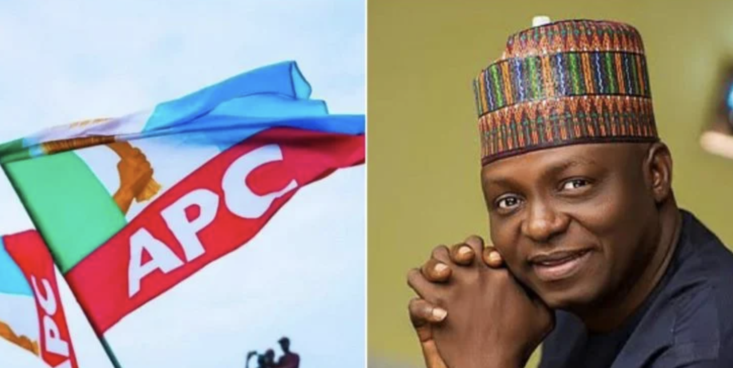 APC Chairman Speaks On Shielding Members From Corruption Probe