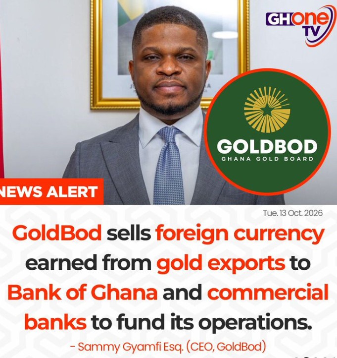 GoldBod Sells Gold Export Forex to BoG, Commercial Banks to Fund Operations – Sammy Gyamfi